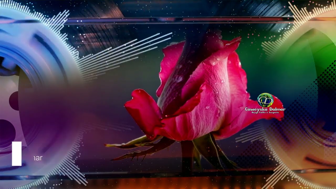 Amina Cabdilaahi & C/Raxman Xasan Abu Raas | Dawo | ERY Aaden Tarabi | T. Q. 23-04-1968