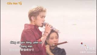 「Dịch Dương Thiên Tỉ」Kiệu Hoa Lớn   Mèo Ban Ngày viesub❤️