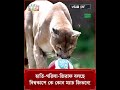 চিড়িয়াখানার প্রাণীদের দিয়ে বিশ্বকাপের ভবিষ্যদ্বাণী! #prediction #animal #fifaworldcup2026 #asiapost