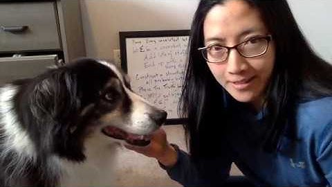 Beezie Gives a High Level Overview of the Completeness Theorem for FOL