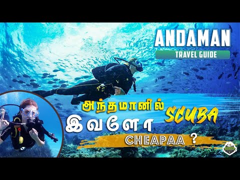 அந்தமானில் ஸ்கூபா டைவிங்  | Scuba Diving in Andaman Havelock | Part- 2