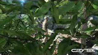 Famous Crysis CryEngine 2 and Trailer Profile