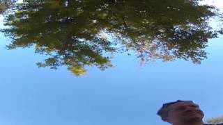 Ready To Electroboard In Alkazar