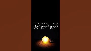 #القرآن_الكريم #هدى #تلاوة_خاشعة #تدبر #المنشاوي