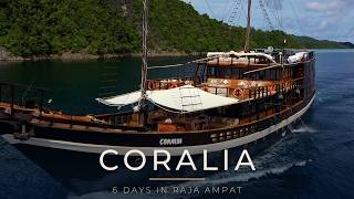 Coralia: 6 Days in Raja Ampat | Batanta, Dampier Strait, Piaynemo News