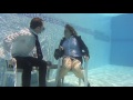 underwater business girl 2