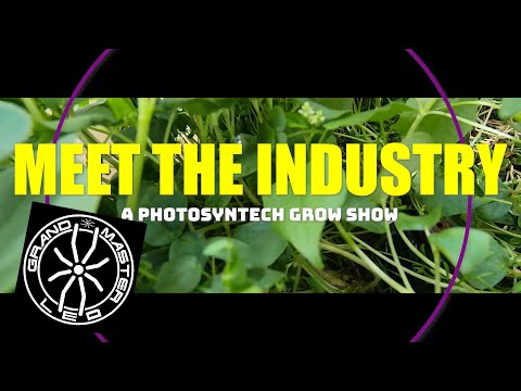 Killing Thrips with UVC lighting from Grand Master LED - Meet the Industry Ep. 019