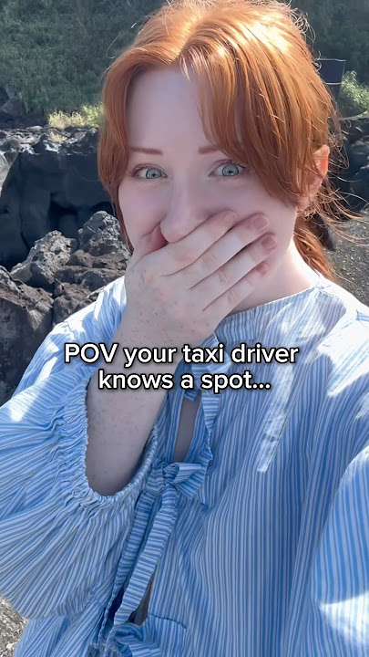 Taxi driver takes over our Japan trip!