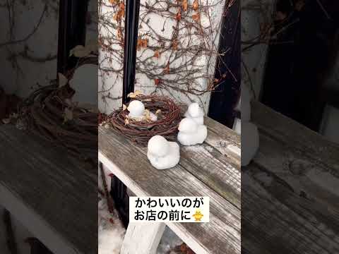 【札幌カフェ】紅茶とケーキで一息ついてきた日🤭 | 森彦 #shorts