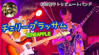 ２年ぶりのライブハウス出演は「チェリーブラッサム」で幕開け☆メンバー大興奮の記録♪♪松田聖子トリビュートバンド☆PINEAPPLE🍍