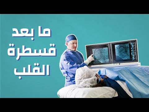 فيديو: هل سيؤذي الجهاز اللوحي الستاتين الكلب؟