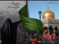 يهل الاطايب ما جيت اعاتب باسم الكربلائي 
