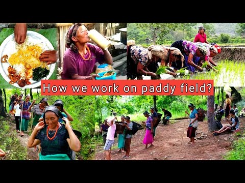 Naga village life of farmers in Nagaland