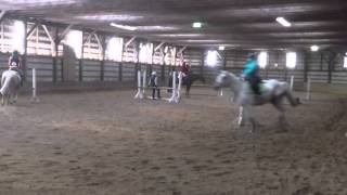 marlee's riding show