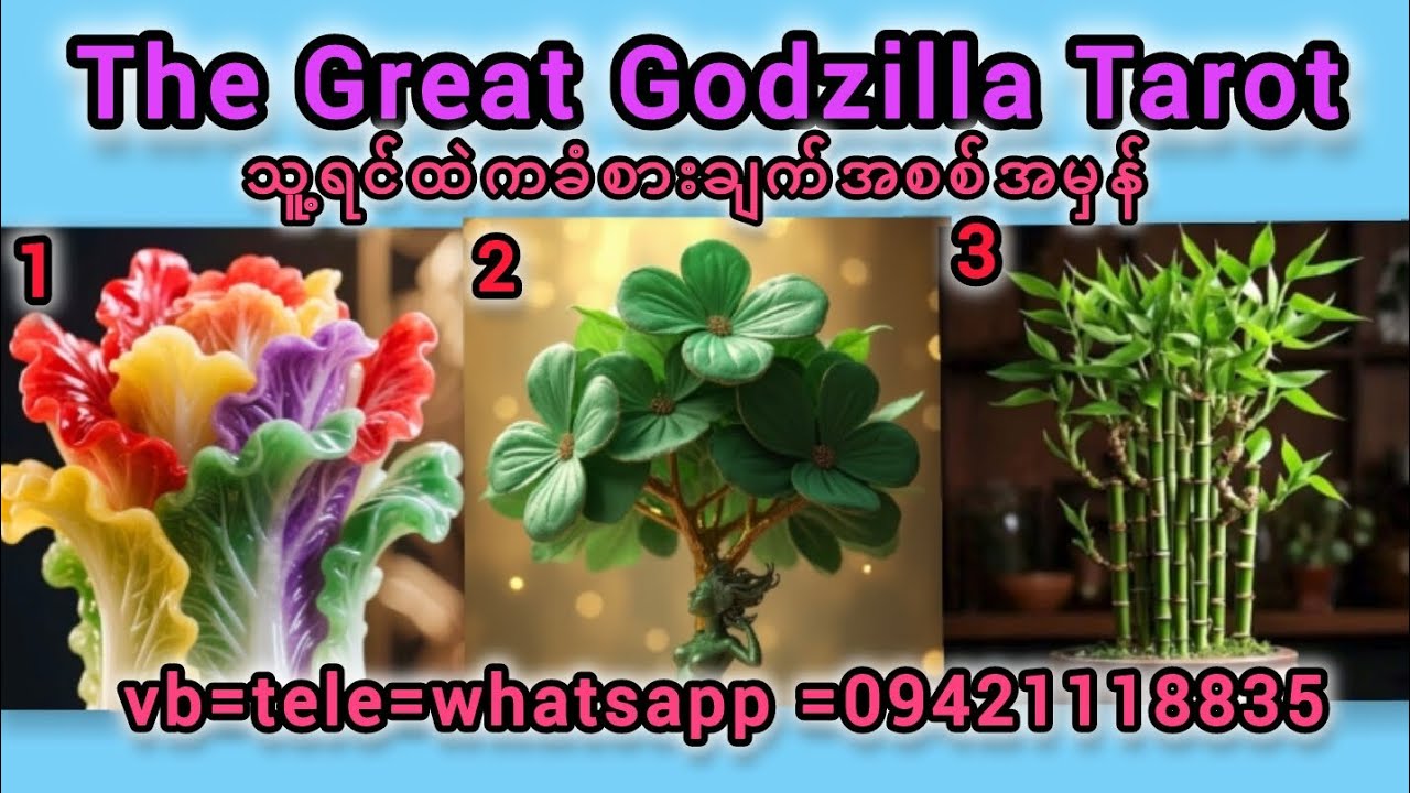 သူ့ရင်ထဲကခံစားချက်အစစ်အမှန်🏜🏖🏕⛺🏝