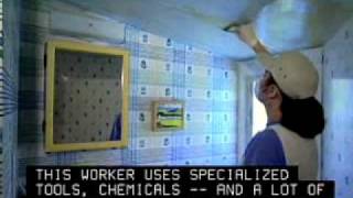 Paperhangers Careers Overview