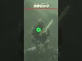 【ブレワイ】カルーガ峠西のガチロック ゼルダの伝説ブレスオブザワイルド  #ゼルダの伝説 #ブレワイ #zelda #shorts