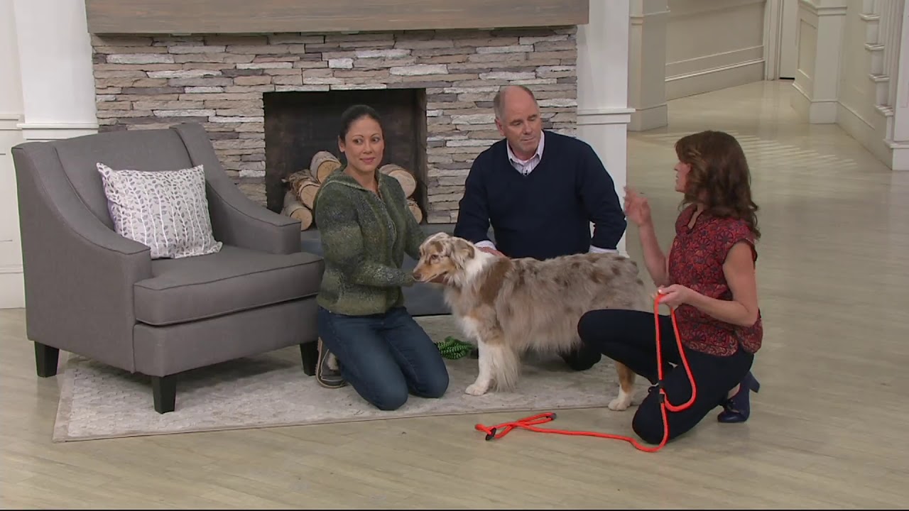 Harness Lead Handcrafted Braided Nylon Leash w/ Rubber Stops on QVC