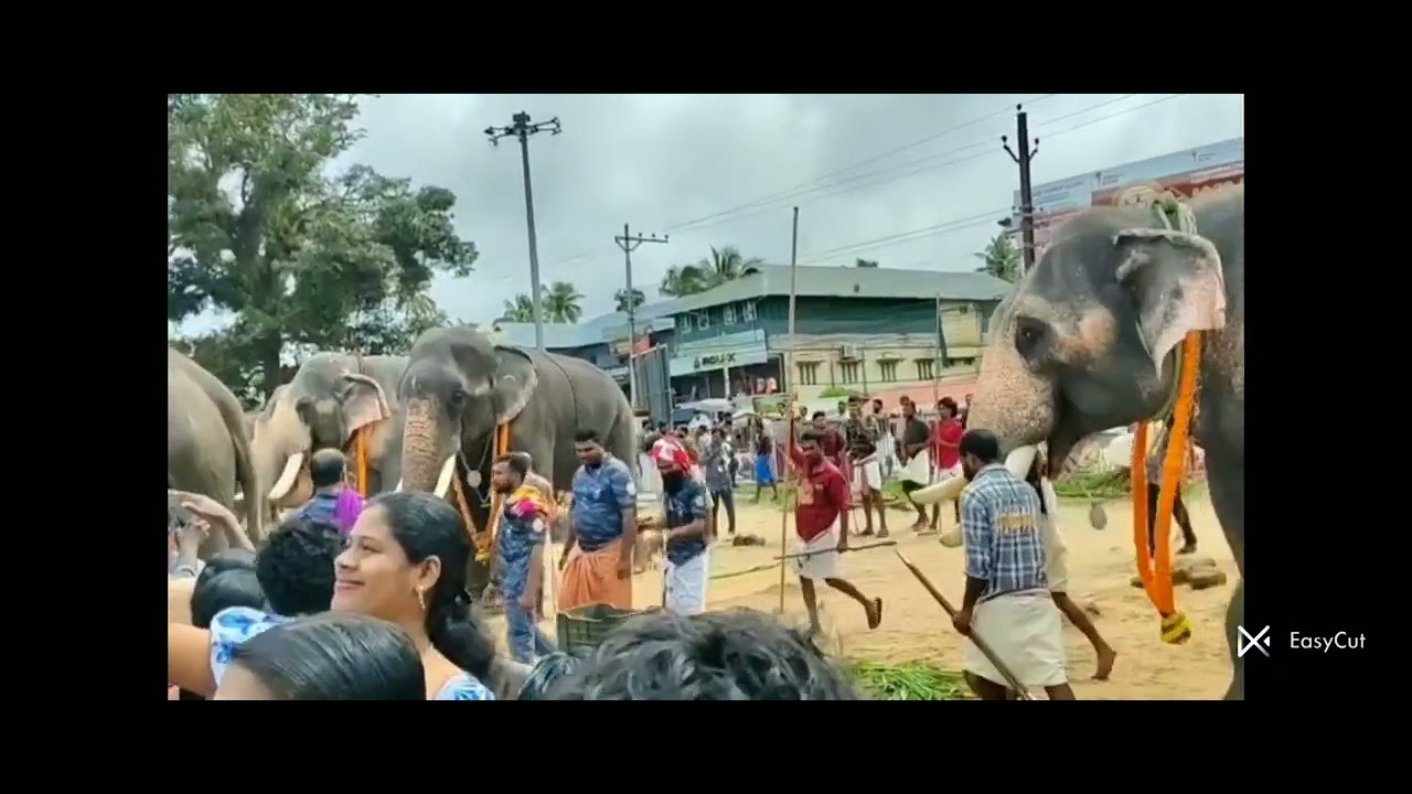 sree gowreeswaram temple