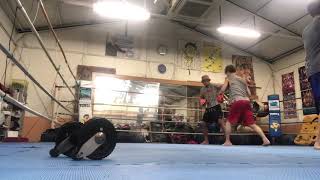 2019100202 toellgym.com