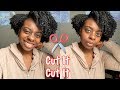 MY FIRST CURLY CUT ✂️ on MY TYPE 4B 4C Hair 😍| DSIMONEARTISTRY