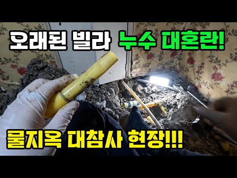 (제주 누수 설비) 오래된 빌라 누수 대혼란~ 물지옥 대참사 현장!!!