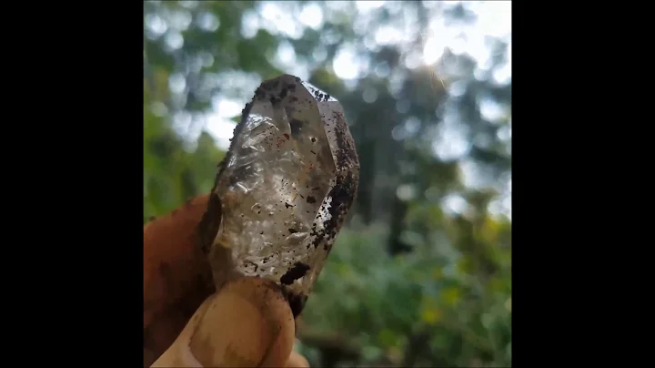 Herkimer Diamonds in the Dirt!