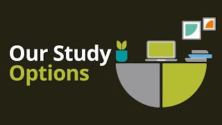 Our Study Options