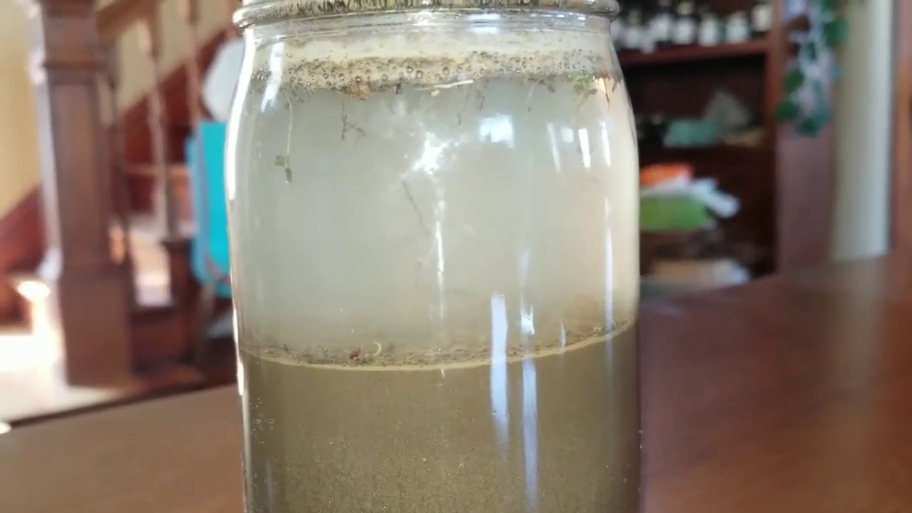 How to do a DIY Soil Test YouTube