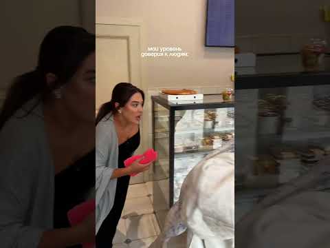 Доверяй, но проверяй 😂 #reels #comedy #смешновидео #shortvideo #funny #юмор #trending #shorts