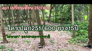 ep1. 251 Age 8 years 15 years 600 15 years Is the latex good Compare.