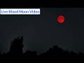Blood Moon Total Lunar Eclipse Caught On Camera 3 March 2026 Live Footage