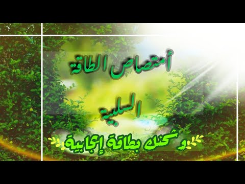 تأثير اللون الأخضر علي النفسية أمتصاص الطاقة السلبية وشحنك بطاقة إيجابية لتعيش حياتك في سلام