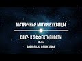 Матричная Магия Буквицы. Ключ к эффективности. Часть 2. Слово Языка и Язык Слова.