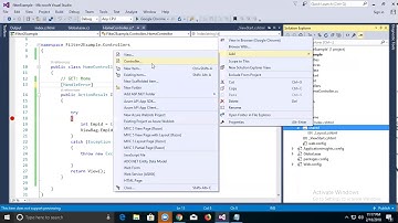 HandleError attribute in mvc