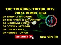 Top trending tiktok hits viral remix 2024 