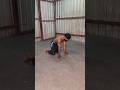Beginner Upper Body Workout at Home | #beginnerworkout #upperbodyworkout #homeworkout #fitnessshorts