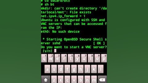 Backtrack 5 running on Nexus S