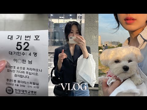 vlog. 20대 류마티스 관절염 환자의 일상(한양대 진료, 이경준 사진전, 소금이랑 한강)