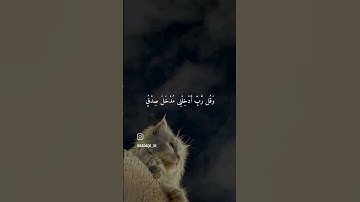 #القارئ_احمد_العجمي #منوعات_إسلامية2 #قرآن_كريم #السعودية #الامارات #صدقة #عمان #الجزائر