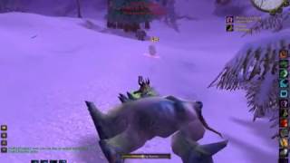A Druids tale