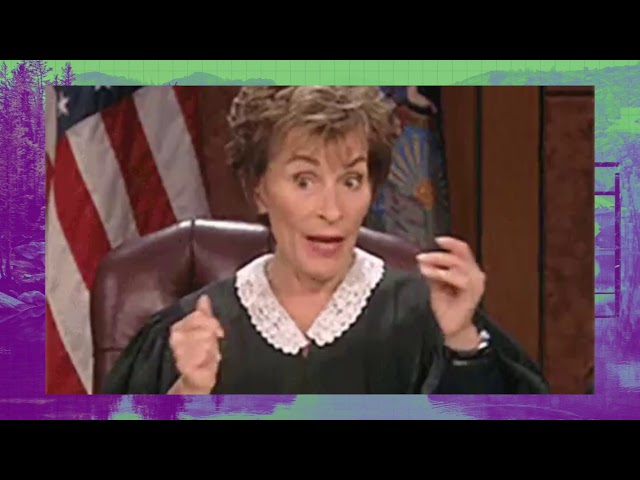 Motel Wyatt u0026 Hooligan Chase - Judge Judy class=