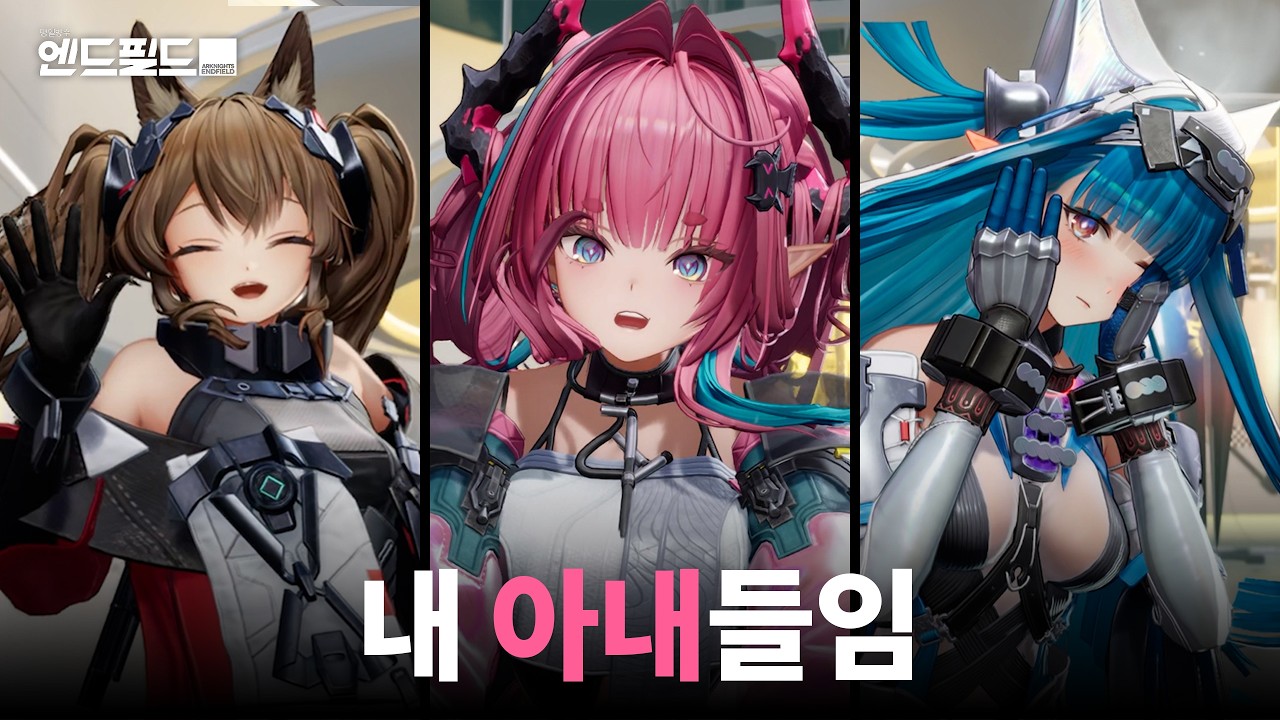 [엔드필드] 240뽑으로 한 파티 만든 사람