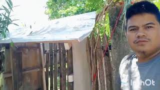 hyperbolic antenna version 2 swak ba sa zlt sg10 with gomo sim