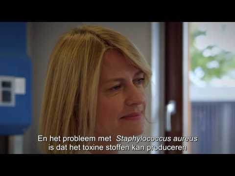 Video: Sheaboter Voor Eczeem: Behandeling En Voordelen