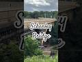 Schenley Park Bridge #bestaddress #lovelock #bridge #pittsburgh #history