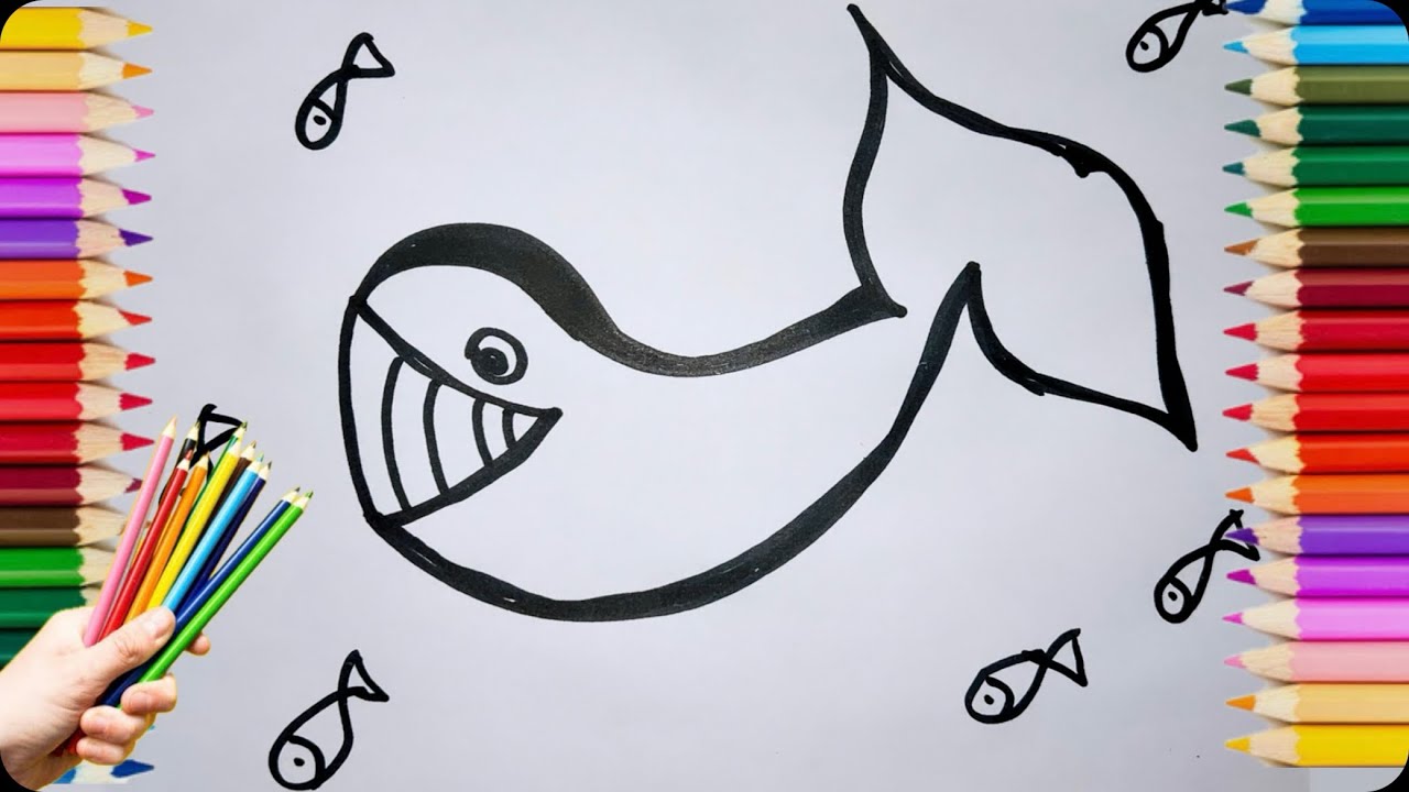 How to draw Sharks for kids 