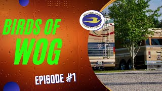 BIRDS OF WOG EPISODE 1