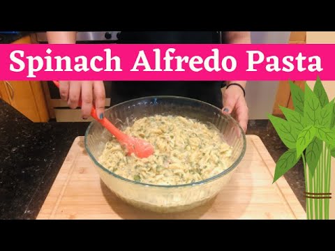 Spinach Alfredo Pasta