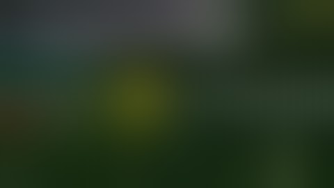 HOW TO HACK WCC2 NEWEST VERSION 2.7.9 WITH UNLIMITED MONEY